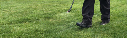 A beautiful lawn cared for by Grassmasters Lawn Care