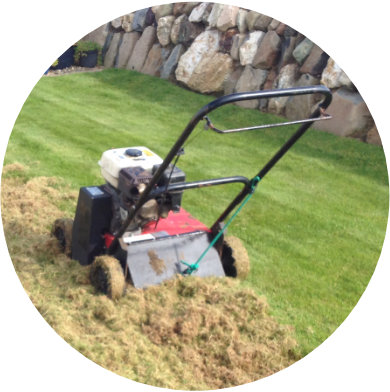 Grassmasters Lawn Renovation | Scarification